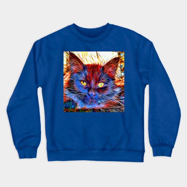 Cat Close Up Crewneck Sweatshirt by danieljanda